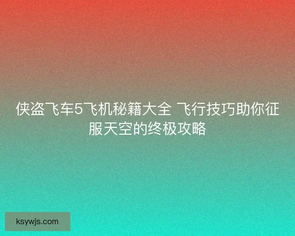 侠盗飞车5飞机秘籍大全 飞行技巧助你征服天空的终极攻略