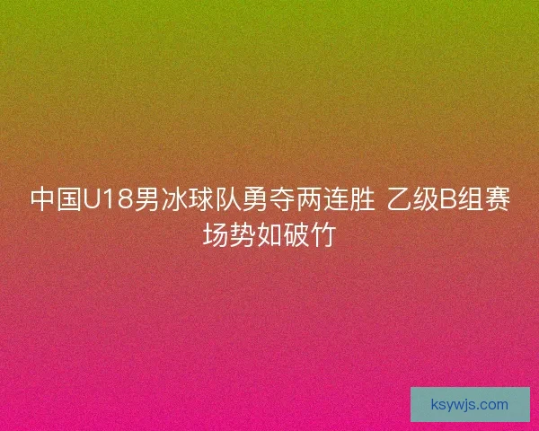 中国U18男冰球队勇夺两连胜 乙级B组赛场势如破竹
